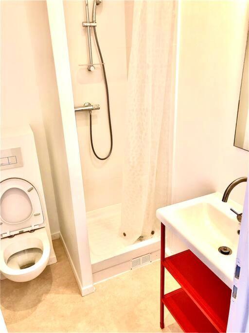 T3 Duplex Centre Ville Toulouse Pres Gare Sncf المظهر الخارجي الصورة